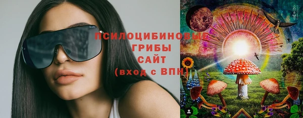 кокс Баксан